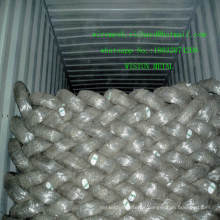 Galvanized Wire/Galvanized Iron Wire/Galvanized Steel Wire